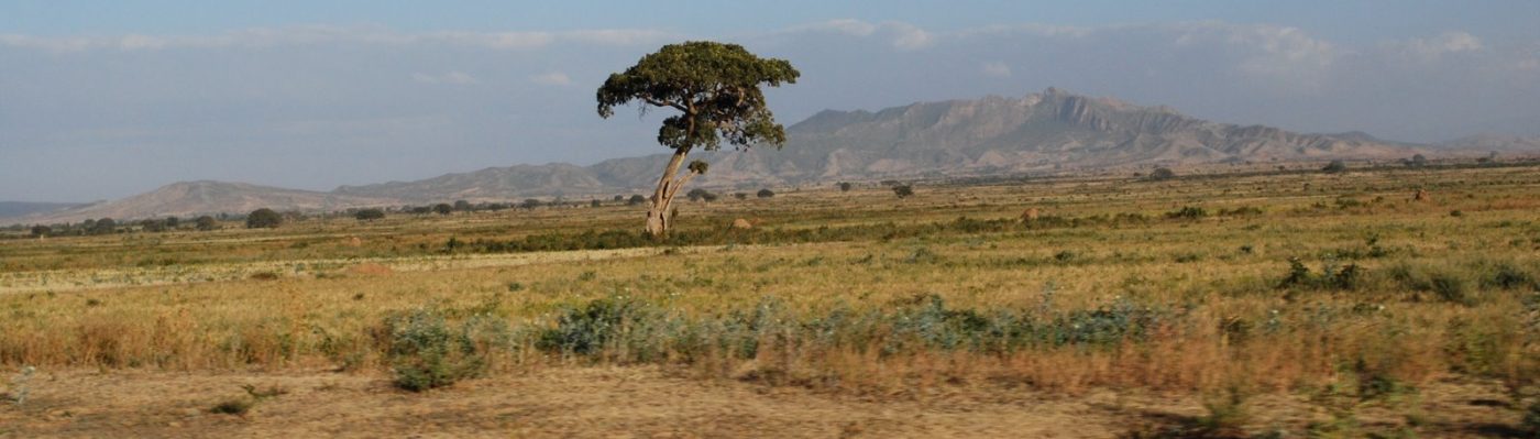 Senterej / ሰንጠረዥ