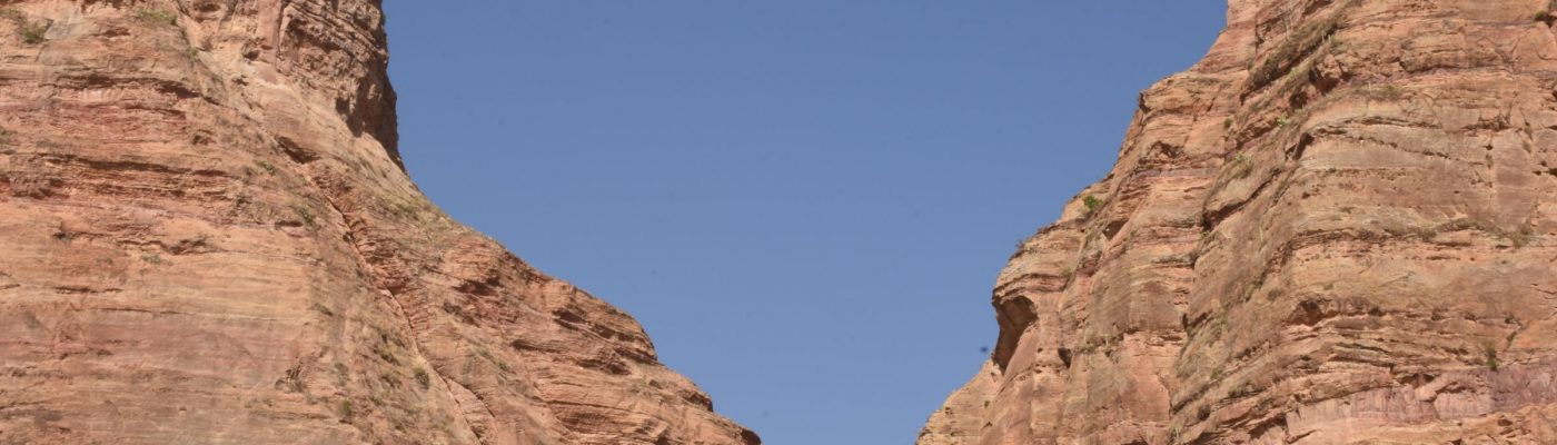 Senterej / ሰንጠረዥ